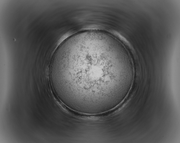 X0000083551329200703021640