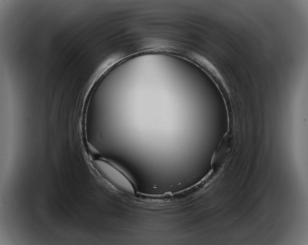 X0000083551330200703021640