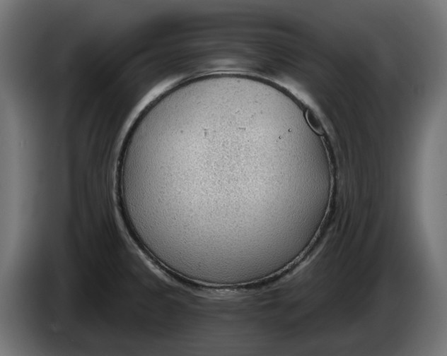 X0000083551333200703021640
