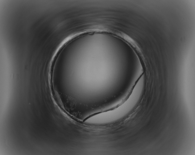 X0000083551334200703021640