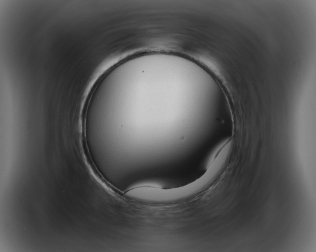 X0000083551335200703021640