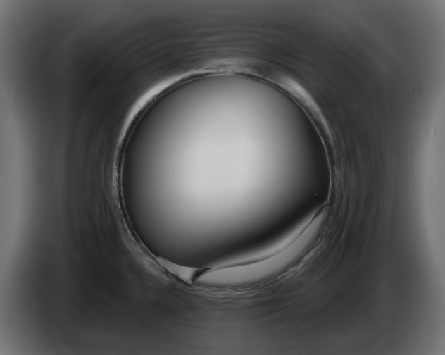 X0000083551336200703021640
