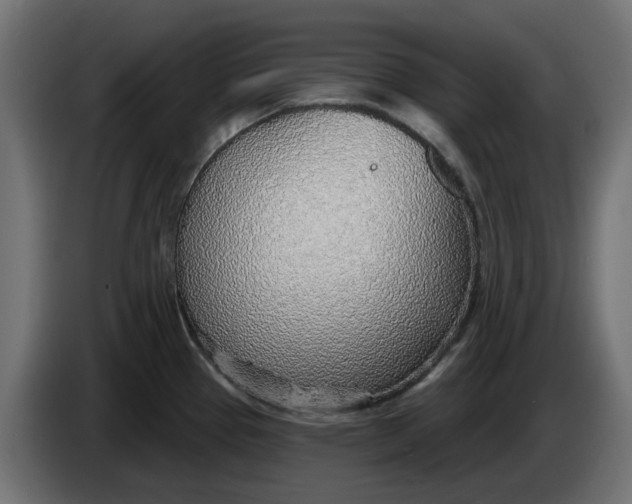 X0000083551337200703021640
