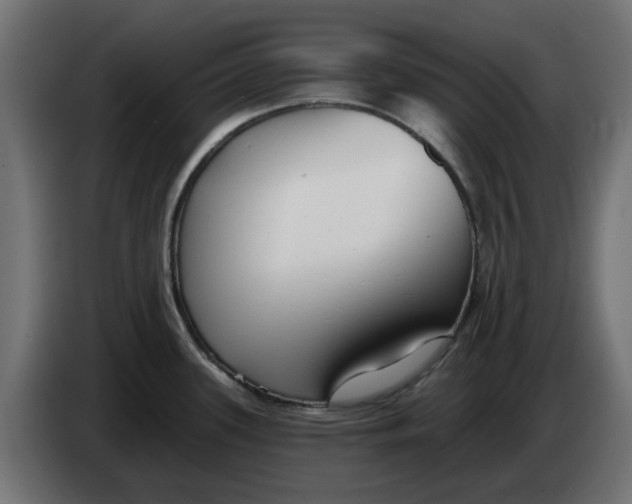 X0000083551339200703021640