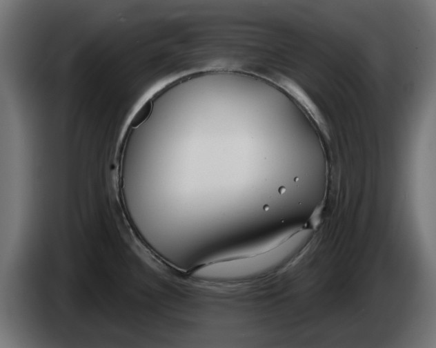 X0000083551340200703021640