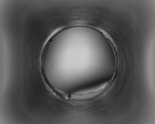 X0000083551341200703021640