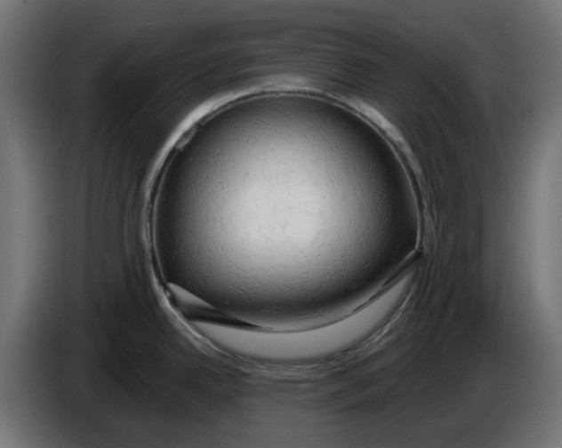 X0000083551342200703021640