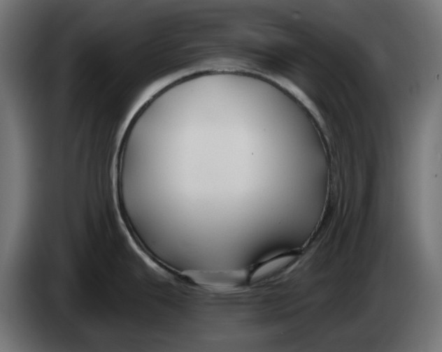 X0000083551343200703021640