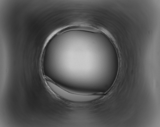 X0000083551344200703021640
