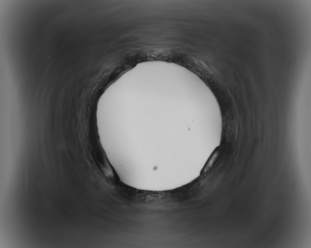 X0000083551345200703021639