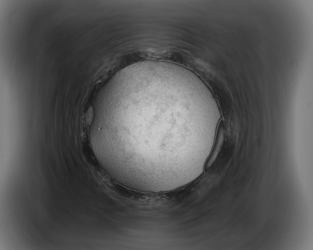 X0000083551346200703021639