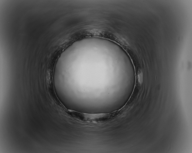 X0000083551347200703021639