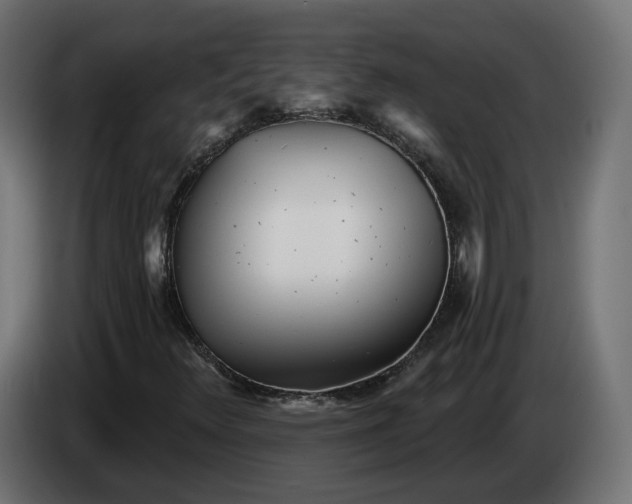X0000083551348200703021639