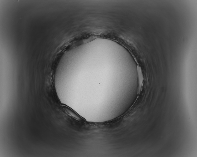 X0000083551349200703021639