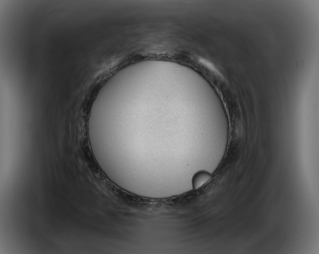 X0000083551350200703021639