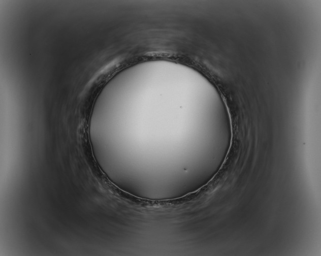 X0000083551351200703021639