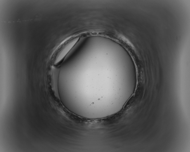 X0000083551352200703021639