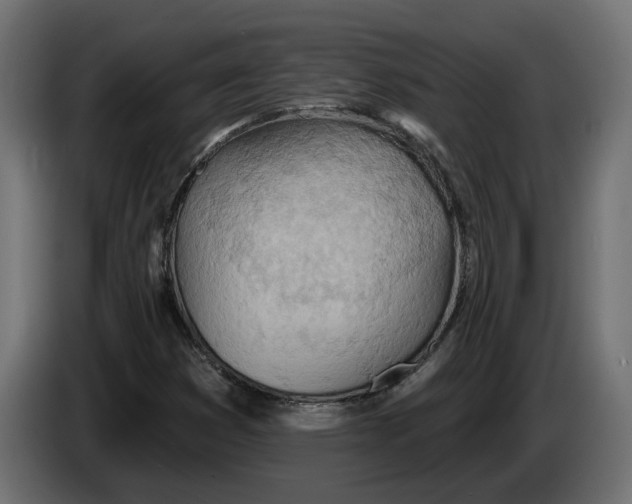 X0000083551353200703021639