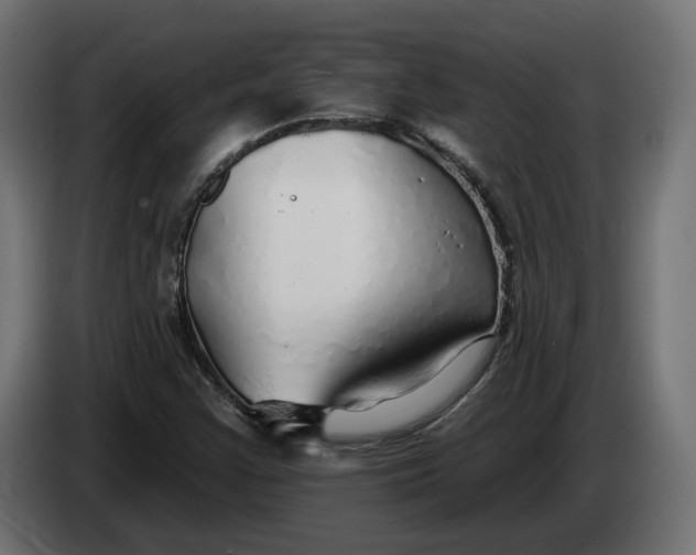 X0000083551355200703021639