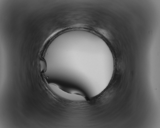 X0000083551356200703021639