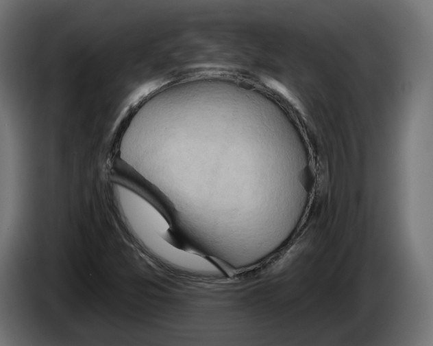 X0000083551357200703021639