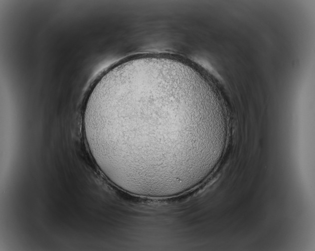 X0000083551358200703021639