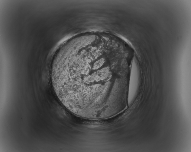 X0000083551359200703021639