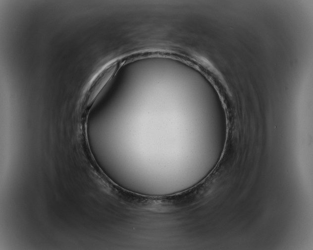 X0000083551360200703021639