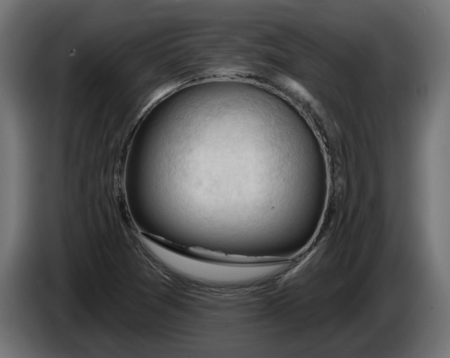 X0000083551361200703021639