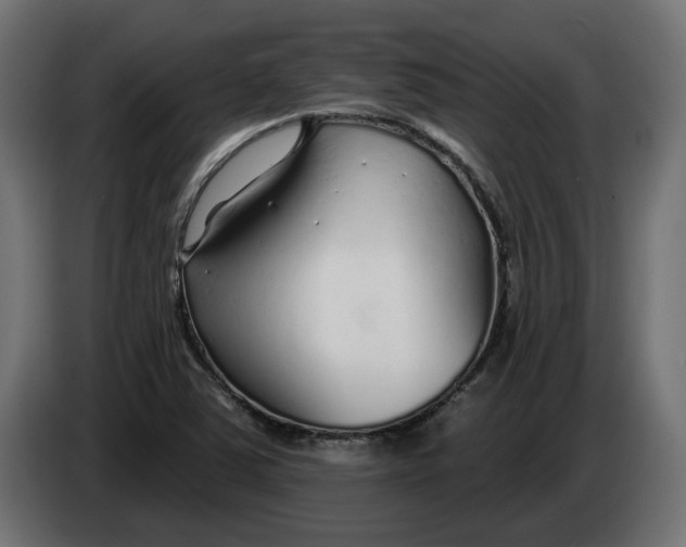 X0000083551363200703021639