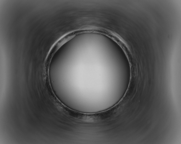 X0000083551364200703021639