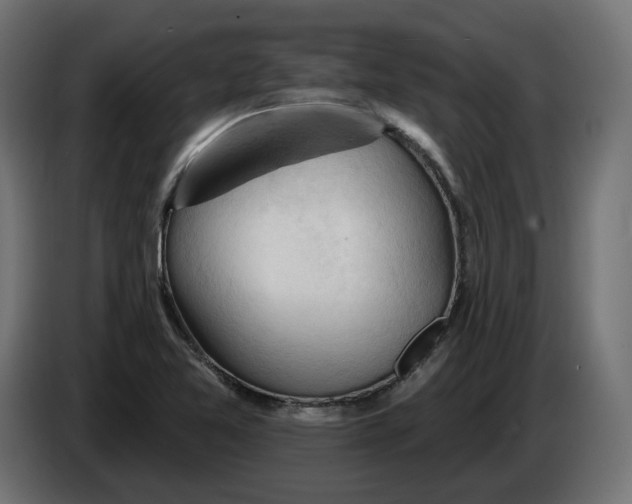 X0000083551365200703021639