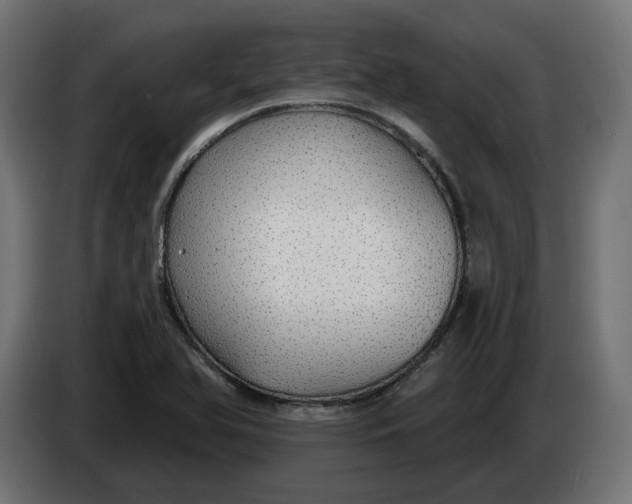 X0000083551366200703021639