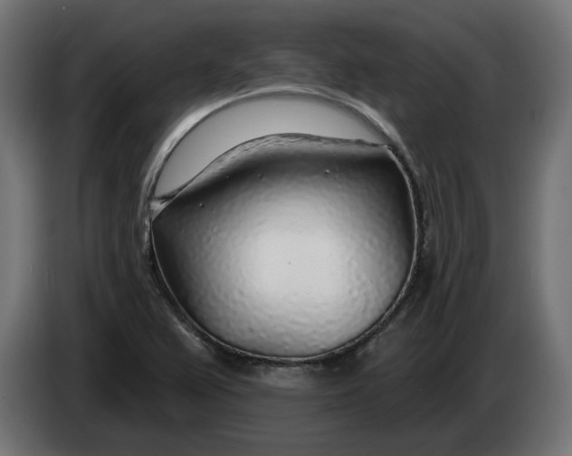 X0000083551367200703021639