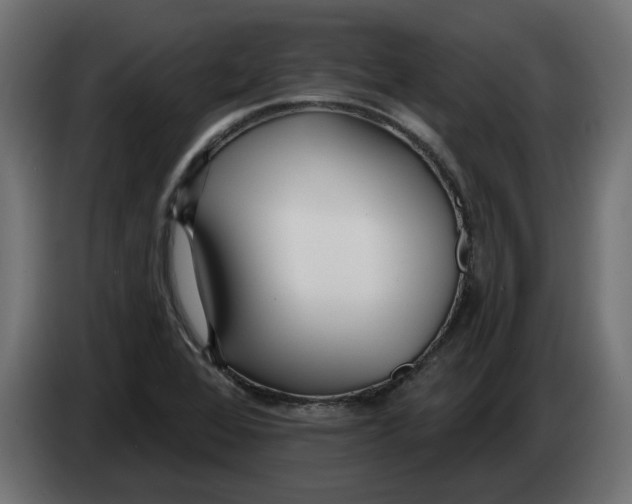 X0000083551368200703021639
