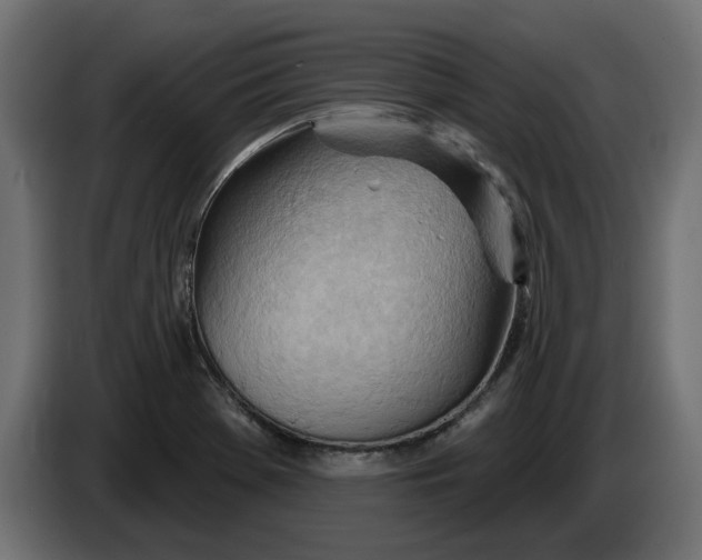 X0000083551369200703021639