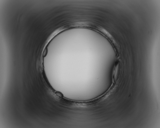 X0000083551370200703021639