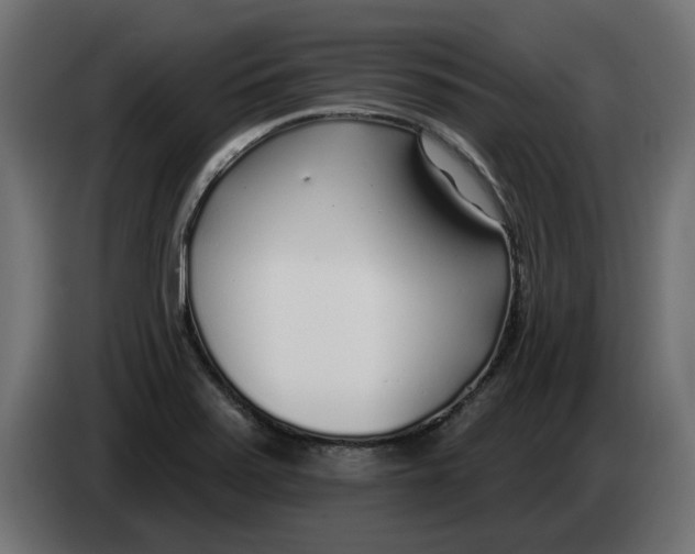 X0000083551371200703021639