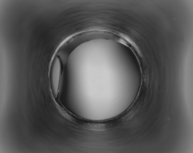 X0000083551372200703021639