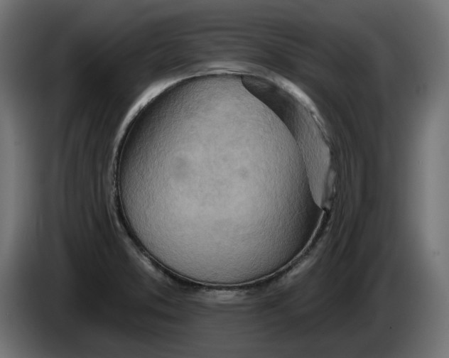 X0000083551373200703021639