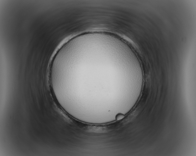 X0000083551374200703021639