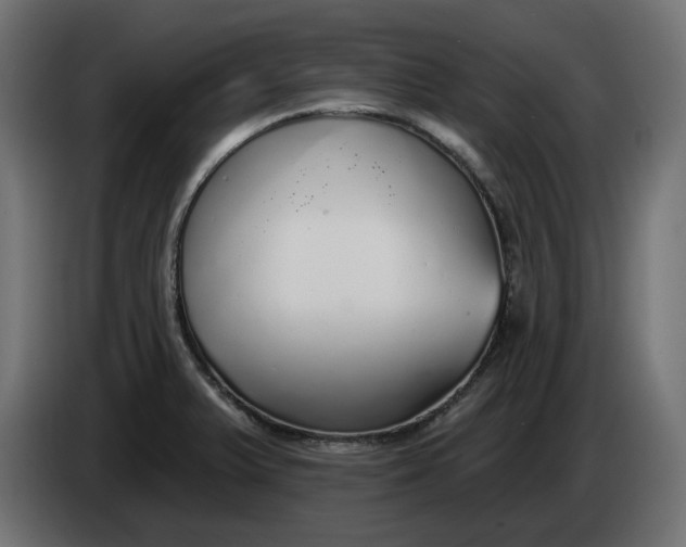 X0000083551375200703021639