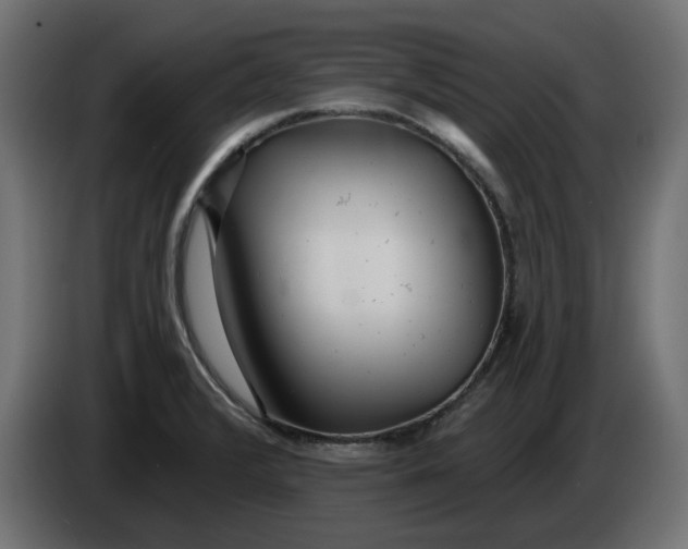 X0000083551376200703021639
