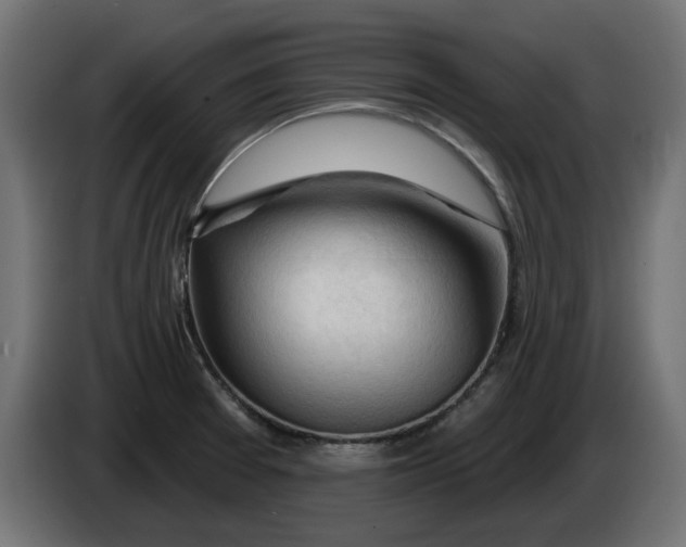 X0000083551377200703021639