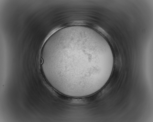 X0000083551378200703021639