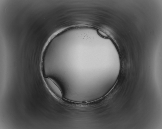 X0000083551379200703021638