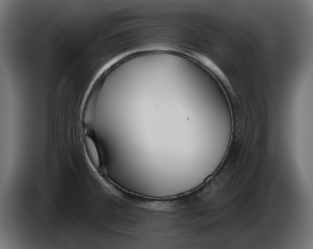 X0000083551380200703021638