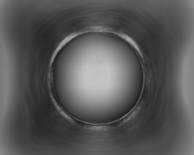 X0000083551381200703021638