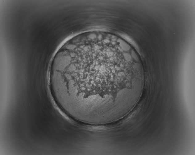 X0000083551383200703021638