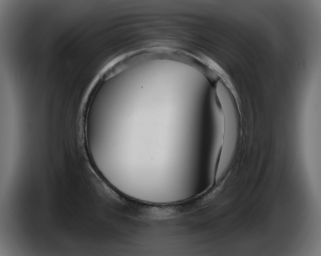 X0000083551384200703021638